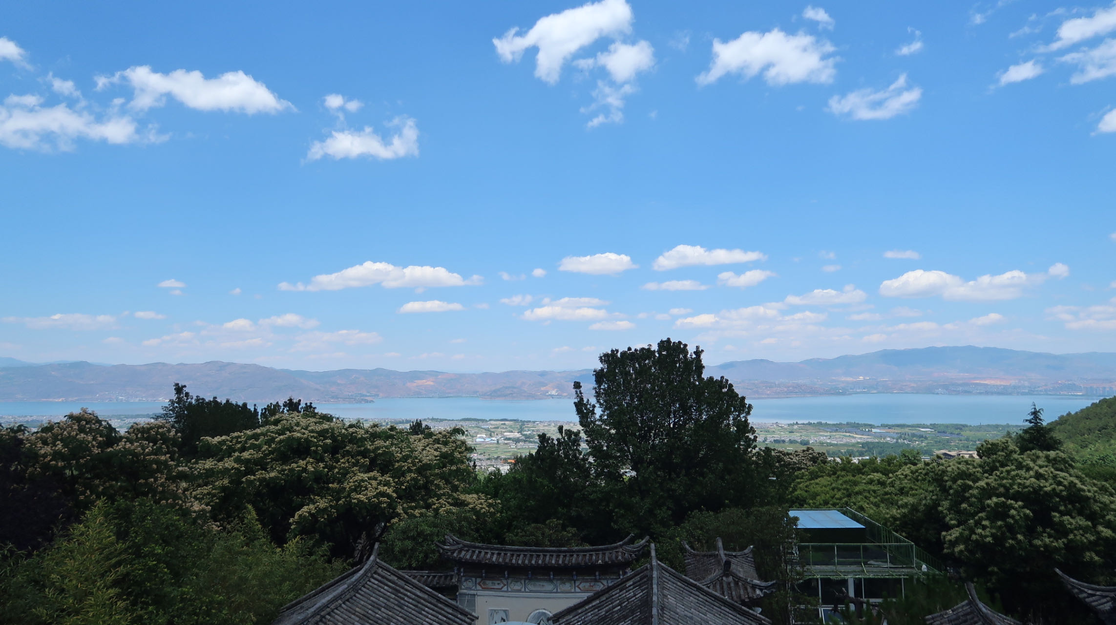 �ŵ�88(�й���)�ٷ���վ